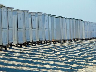 Chalet Burgh-Haamstede Ambiente 18