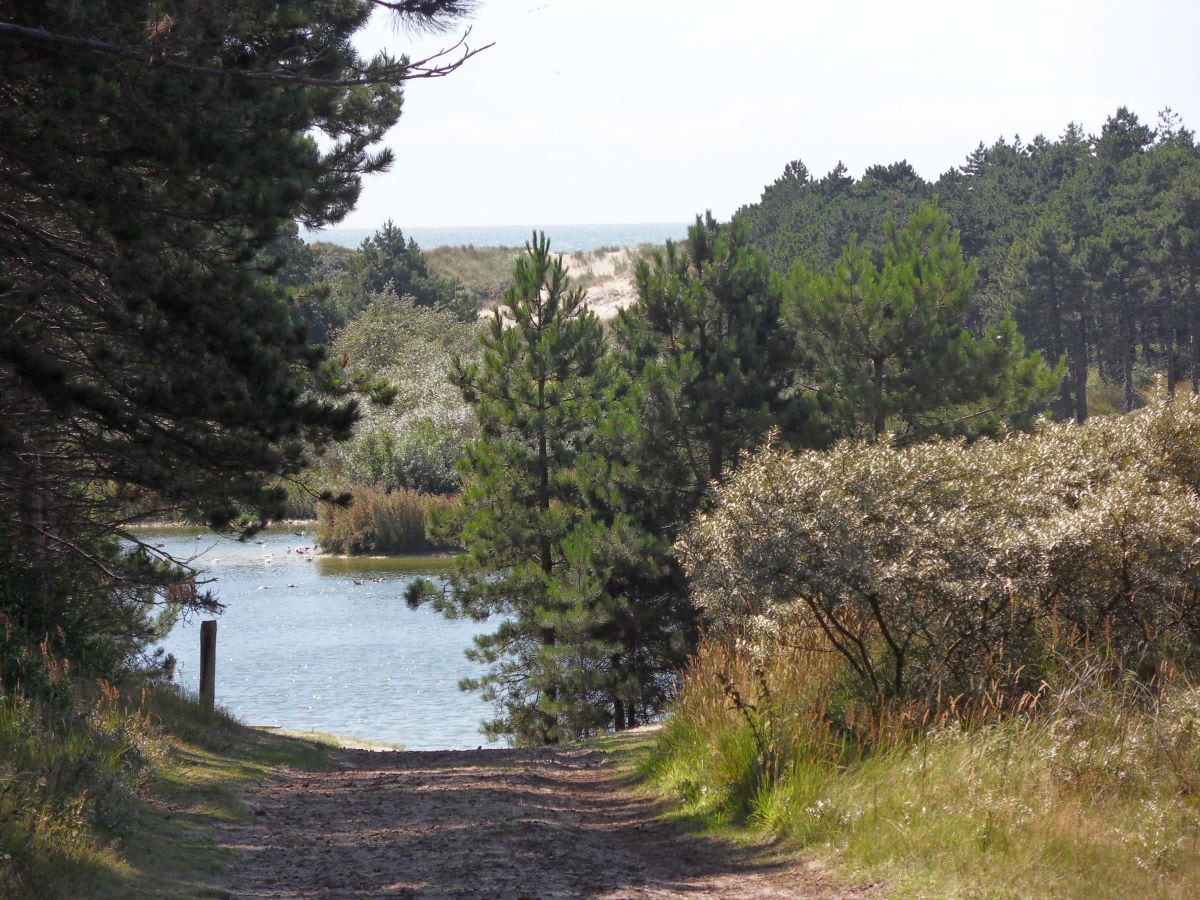 Boswachterij Westerschouwen