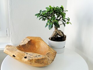 Appartamento per vacanze Eckernförde Caratteristiche 19