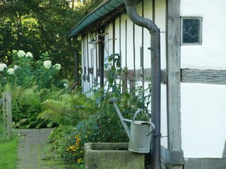 Ferienhaus Badbergen Umgebung 5