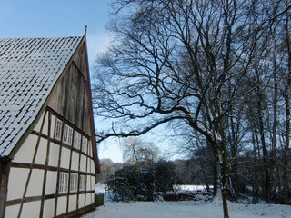 Ferienhaus Badbergen Außenaufnahme 3