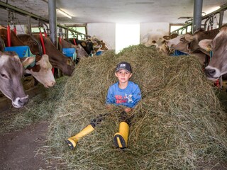 Appartamento per vacanze Zell am Ziller Registrazione all'aperto 6