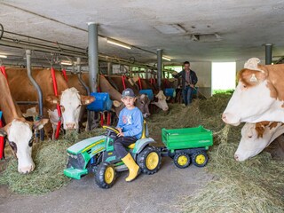 Apartamento de vacaciones Zell am Ziller Grabación al aire libre 7