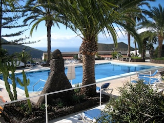 Der Pool mit Palmen, Liegen und toller Aussicht