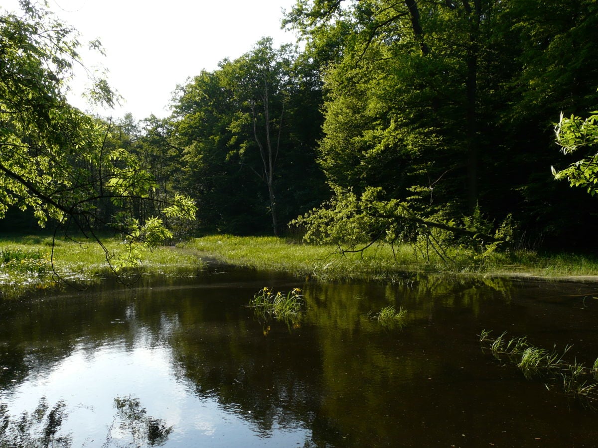 Wanderweg Hünenteich