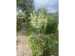 Weg zum See mit Blumenrabatten
