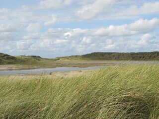 Casa per le vacanze Cadzand-Bad Ambiente 16