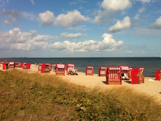 Strand von Schönhagen