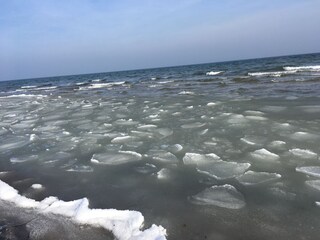 Winterbild Weidefeld