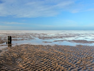 Watt'n Meer
