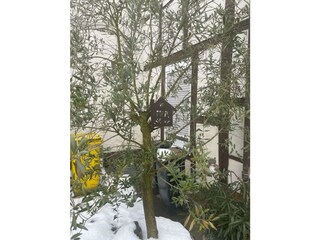 Holiday house Bad Neuenahr-Ahrweiler Outdoor Recording 3