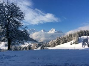 Vakantieappartement Piberger - Lofer - image1