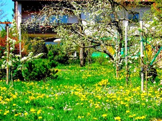 Holiday apartment Rottweil Outdoor Recording 2