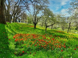 Holiday apartment Rottweil Outdoor Recording 22