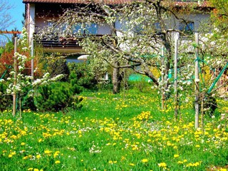 Vakantieappartement Rottweil Buitenaudio-opname 3