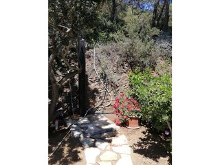 Apartamento de vacaciones Capoliveri Características 29