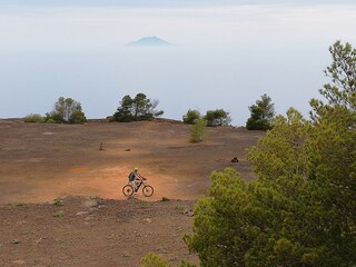 Appartamento per vacanze Capoliveri Ambiente 38