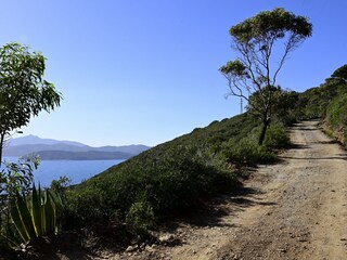 Appartamento per vacanze Capoliveri Registrazione all'aperto 17