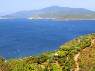 Apartamento de vacaciones Capoliveri Entorno 30