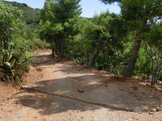 Apartamento de vacaciones Capoliveri Entorno 31