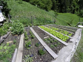 Appartamento per vacanze St. Leonhard in Passeier Registrazione all'aperto 4