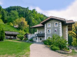 Ferienwohnung Familienwohnung - St. Leonhard in Passeier - image1