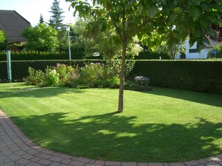 Ansicht in den Garten am Morgen