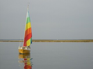 Segelboot auf der Müritz