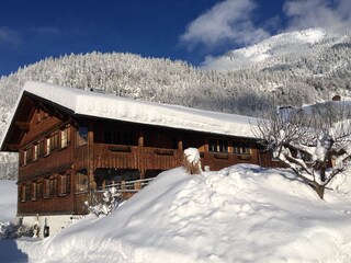 Holiday apartment Au in Vorarlberg Outdoor Recording 4