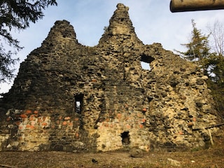 Castle ruins Burgberg