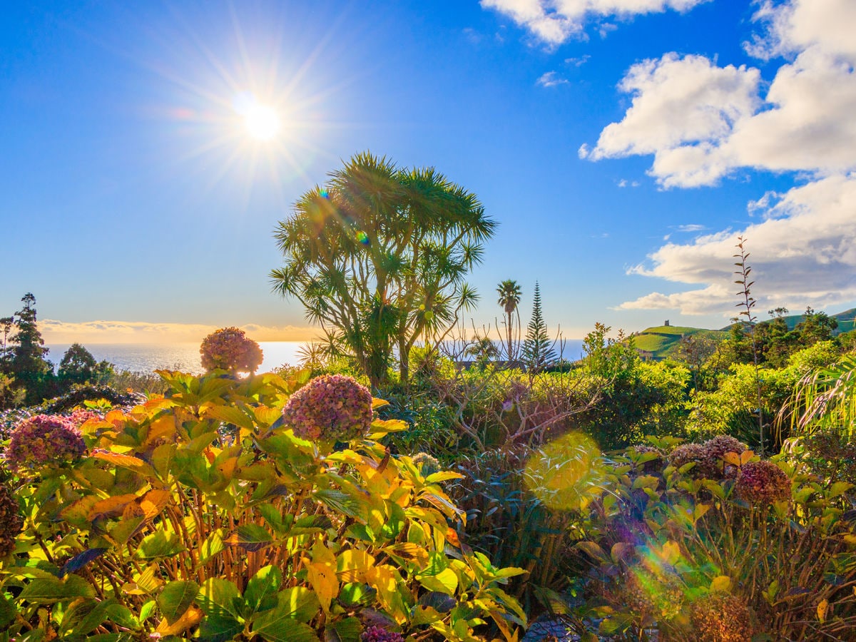 Garten mit Meerblick