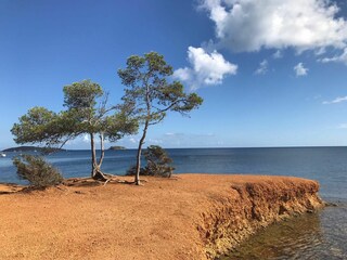 Casa per le vacanze Sant Carles de Peralta Ambiente 31