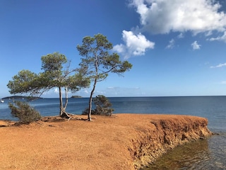 Holiday house Sant Carles de Peralta Environment 31