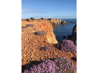 Casa per le vacanze Sant Carles de Peralta Ambiente 34