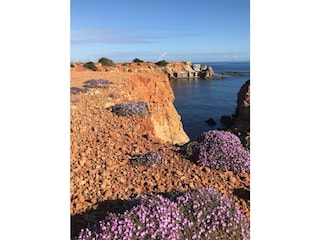 Holiday house Sant Carles de Peralta Environment 34