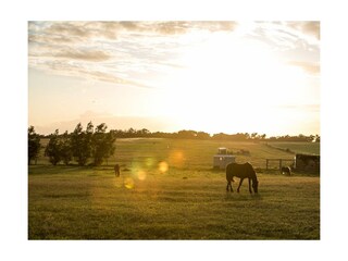 Ferienwohnung Zingst Außenaufnahme 6