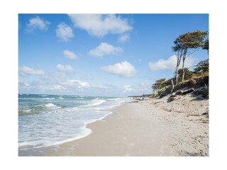 Ferienwohnung Zingst Außenaufnahme 9