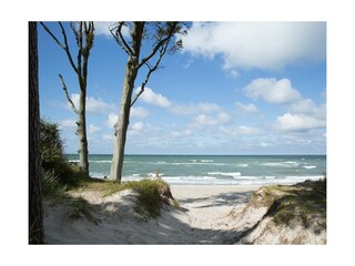 Ferienwohnung Zingst Außenaufnahme 10