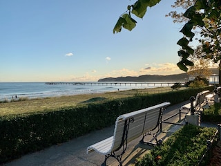 Rügen
