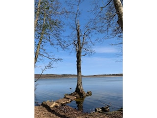 Rügen