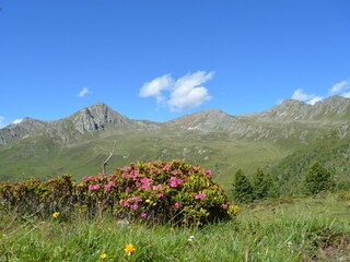 Appartamento per vacanze Gsies Ambiente 27