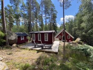 Vakantiehuis Berenspoor - Vimmerby - image1