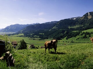 Chalet Zöblen Ambiente 19