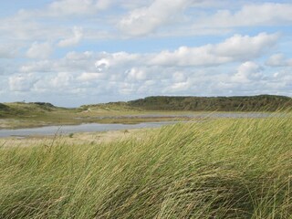 Bungalow Cadzand-Bad Ambiente 15