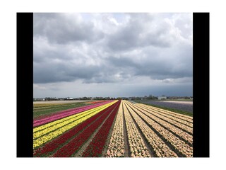 Appartamento per vacanze Noordwijk Ambiente 24