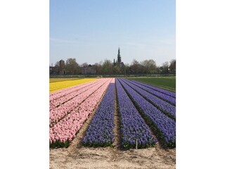 Appartamento per vacanze Noordwijk Ambiente 16