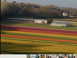 Appartamento per vacanze Noordwijk Ambiente 20