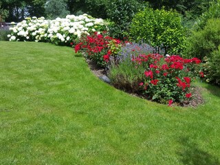 Blick in den Garten