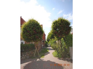 Casa per le vacanze Westerland Ambiente 19