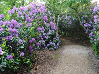 Casa per le vacanze Oostkapelle Ambiente 21